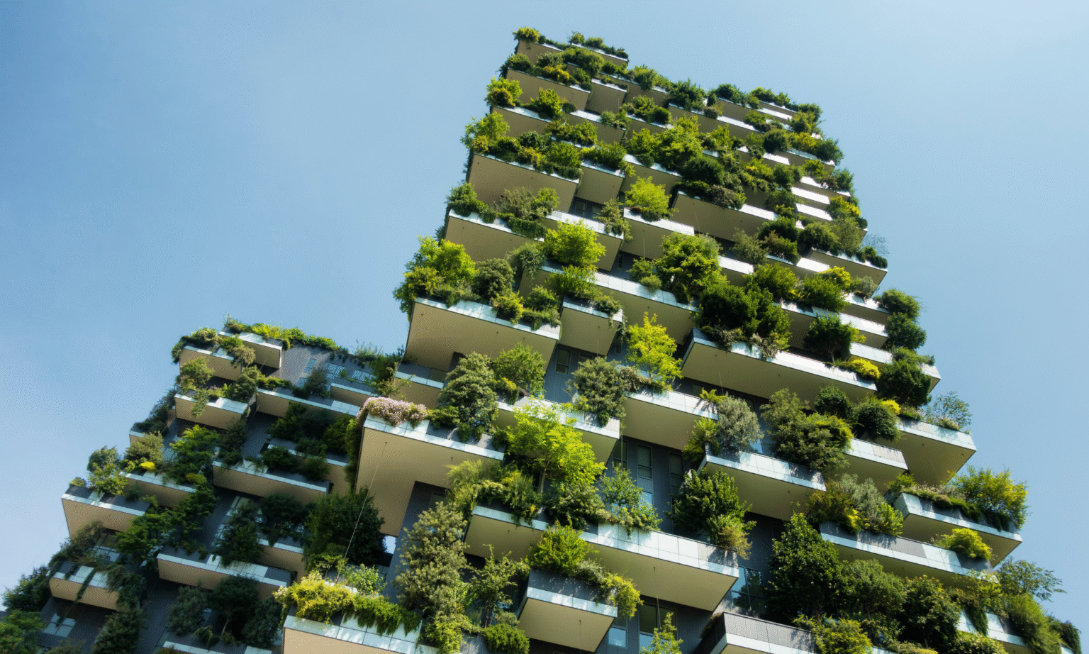 Project Treamweast: Building Tomorrow’s Imagination