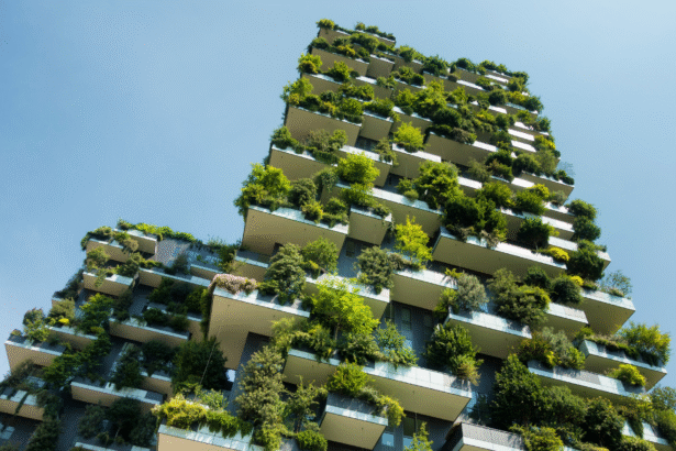 Project Treamweast: Building Tomorrow’s Imagination