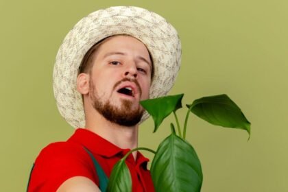 Ag-Kunst-Kultur: Threads of Modern Creativity