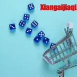 The Comprehensive Guide to xiangaijiaqi . com