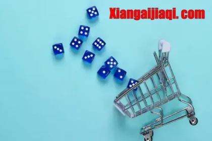 The Comprehensive Guide to xiangaijiaqi . com