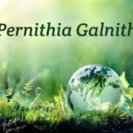 Pernithia Galnith: The Ecological Marvel of Planet Earth