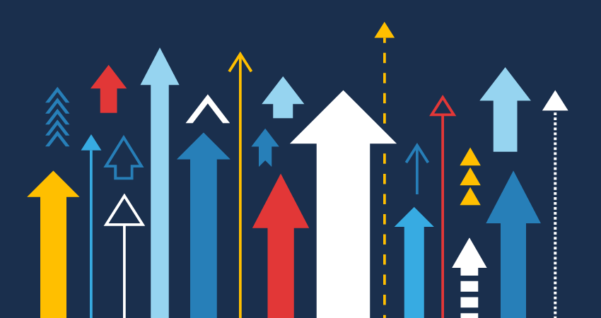 Everything You Need to Know purepro4561