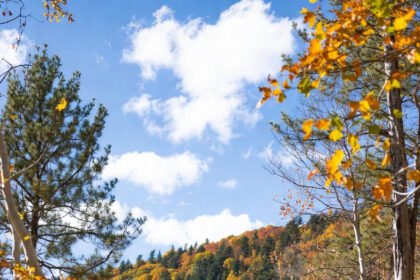 where to go in november in usa