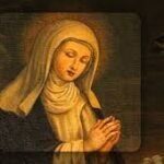 Everything You Need to Know Margherita della Metola