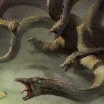 Everything You Need to Know Hydra HD.