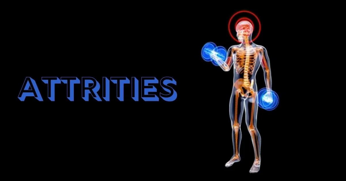 Attrities: Meaning, Importance, and Real-Life Examples