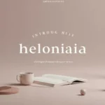 Helonia Neue: The Modern Typeface Redefining Design