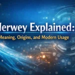 What Is Nerwey? A Complete Guide to the Concept
