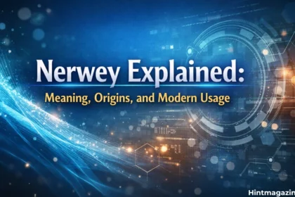 What Is Nerwey? A Complete Guide to the Concept
