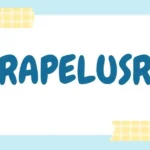 Rapelusr: The Next Evolution in Digital Experience