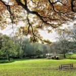 Why Pabington is the Perfect Getaway for Nature Lovers