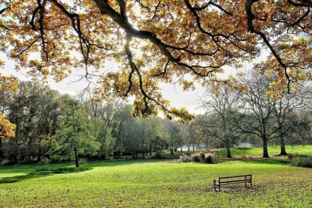 Why Pabington is the Perfect Getaway for Nature Lovers