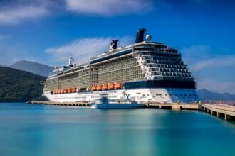 5 Must-Read Celebrity Silhouette Reviews for 2026