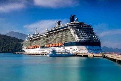 5 Must-Read Celebrity Silhouette Reviews for 2026