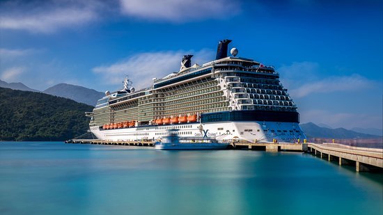 5 Must-Read Celebrity Silhouette Reviews for 2026