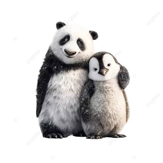 5 Fascinating Facts About Panda Penguins You Didn't Know