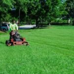 What Are the Top Lawn Care Jobs Near Me?