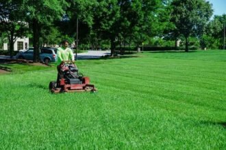What Are the Top Lawn Care Jobs Near Me?