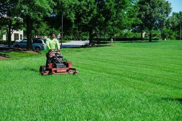 What Are the Top Lawn Care Jobs Near Me?