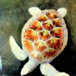 What Makes Albino Turtle Unique in the Animal Kingdom?