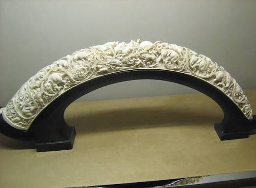 5 Stunning Uses for Material Ivory in Home Decor