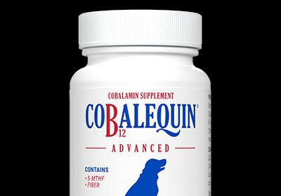 5 Benefits of Cobalequin for Health Improvement