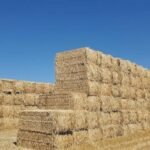 5 Creative Ways to Use Bales of Straw