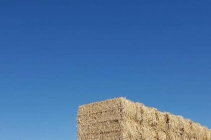 5 Creative Ways to Use Bales of Straw