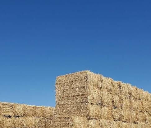 5 Creative Ways to Use Bales of Straw