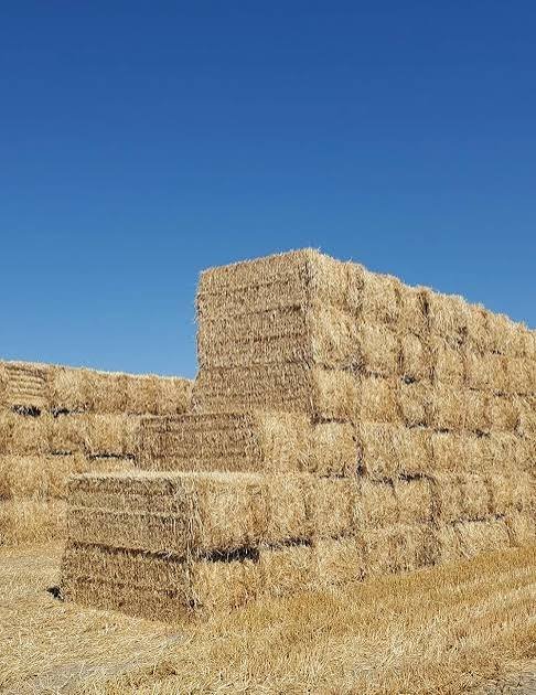 5 Creative Ways to Use Bales of Straw
