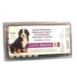 5 Essential Facts About the 5 in 1 Puppy Shot