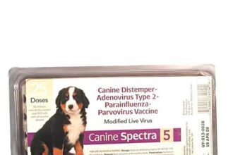 5 Essential Facts About the 5 in 1 Puppy Shot
