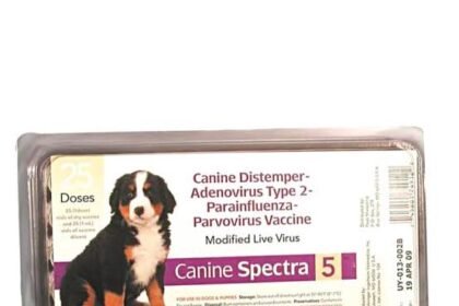 5 Essential Facts About the 5 in 1 Puppy Shot