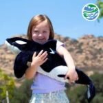 5 Adorable Orca Plush Toys You Need to Own