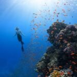 10 Fascinating Facts About the Ocean You Didn't Know