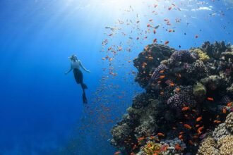 10 Fascinating Facts About the Ocean You Didn't Know