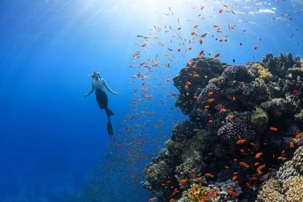 10 Fascinating Facts About the Ocean You Didn't Know