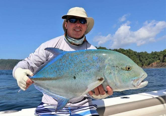 5 Essential Tips for Bluefin Trevally Fishing